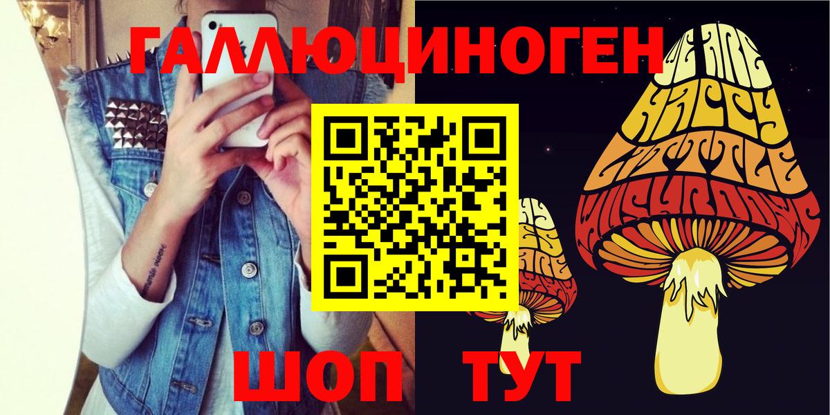 Корсаков  Галлюциногенные грибы Psilocybine cubensis  хочу   Вход с VPN 